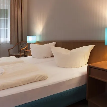 Hotel Waldhotel Am Ilsestein 3*