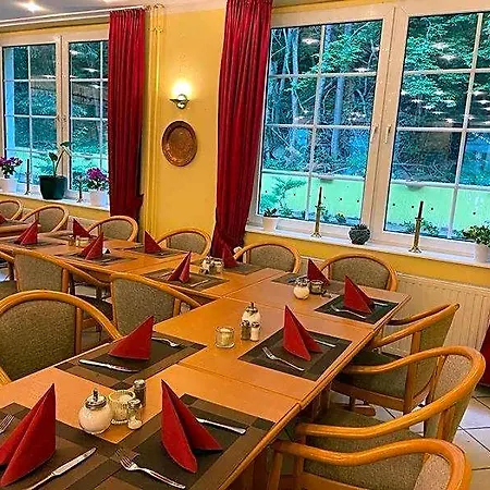 Waldhotel Am Ilsestein Hotel 3*