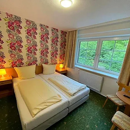 Waldhotel Am Ilsestein