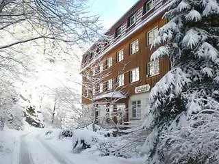 Waldhotel Am Ilsestein 3*