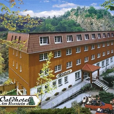 Waldhotel Am Ilsestein Отель Ильзенбург