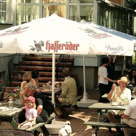 Waldhotel Am Ilsestein 3*