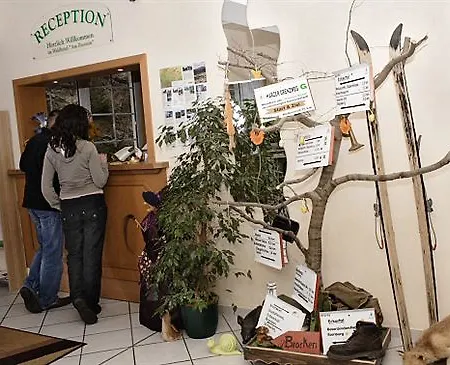 Waldhotel Am Ilsestein