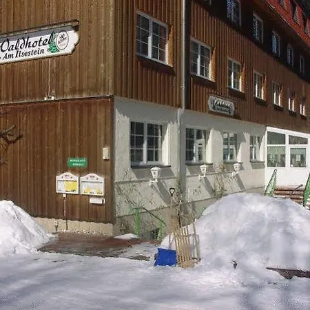 Отель Waldhotel Am Ilsestein 3*