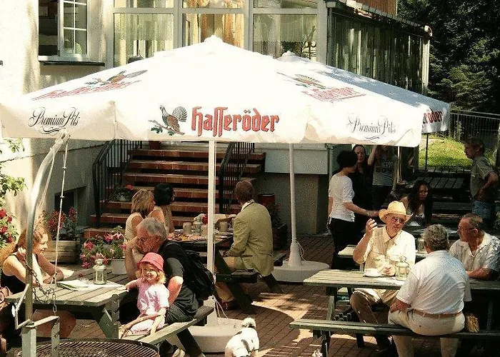 Waldhotel Am Ilsestein 3*